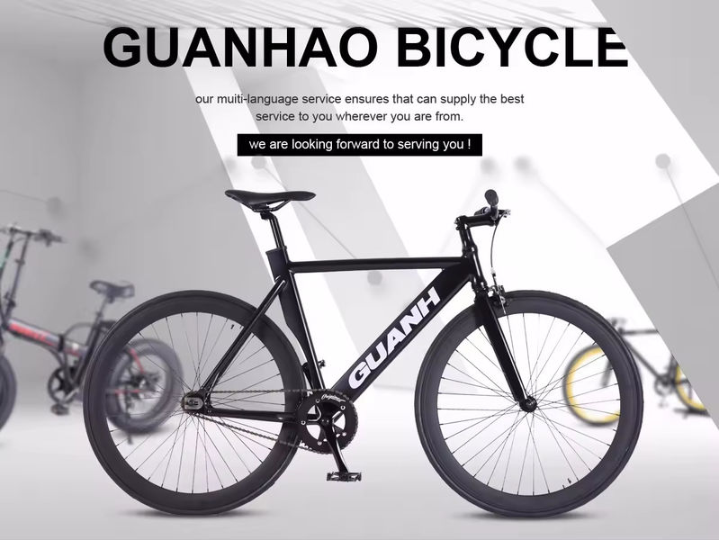 Bicyclettes électriques
