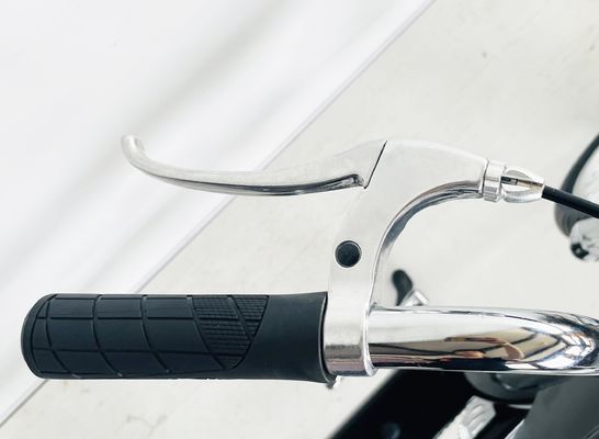 Poids brut 25,0 KG 24-20 &quot; Single Speed Adult Chopper Bike avec fourchette en acier de l'OEM