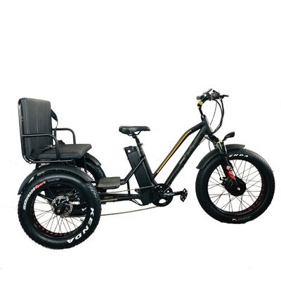 24&quot; 48V roue avant 750W 45KM/H Charge maximale 300KG 21AH batterie au lithium Tricycles électriques
