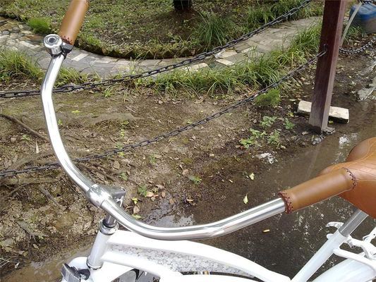 Logo personnalisé Adultes Vélo hybride à vitesse unique de 26 pouces pour femmes Vélo de croisière de plage