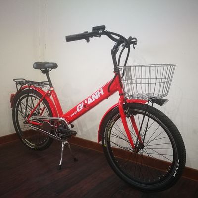 36V 9Ah 250W couple 80-90 Nm 25KM/H Hi-Ten Steel Electric Cargo Bike pour la livraison de nourriture