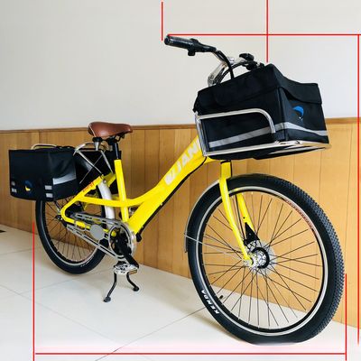 36V 9Ah 250W couple 80-90 Nm 25KM/H Hi-Ten Steel Electric Cargo Bike pour la livraison de nourriture