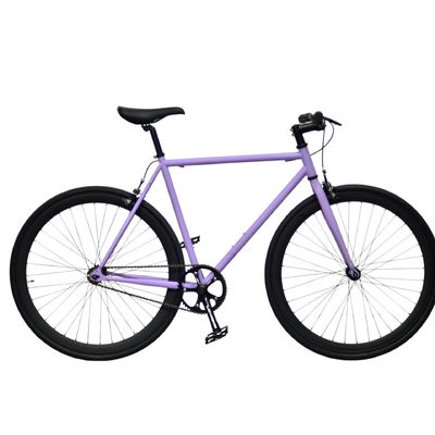 1.6m Longueur OEM Colorié 700C Adult Road Racing Poids léger à vitesse unique Fixie Fixe Gear Bike