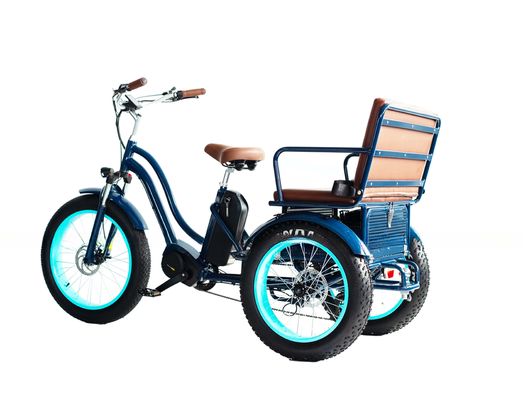 Rickshaw électrique à moteur à moyeu avant avec batterie au lithium 17AH de 48V 750W et pneu gros