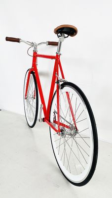 USA OEM Sport Fixie Bikes avec des moyeux de roulement scellés et un cadre en acier Hi-Ten coloré