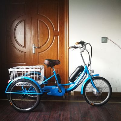 Marché 2020 750W 20 &quot;Aluminium Alloy Rim Tricycle électrique pour le transport de marchandises