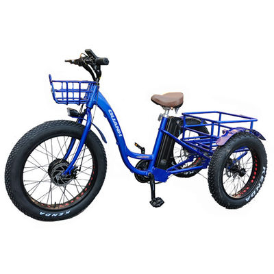 Marché 2020 750W 20 &quot;Aluminium Alloy Rim Tricycle électrique pour le transport de marchandises