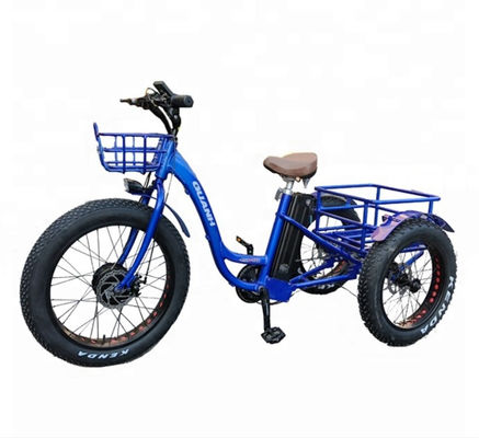 750W Tricycle électrique cargo avec batterie au lithium et une autonomie de 31 à 60 km