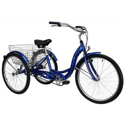 750W Tricycle électrique cargo avec batterie au lithium et une autonomie de 31 à 60 km