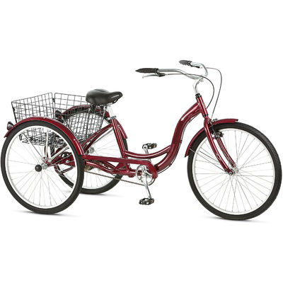 750W Tricycle électrique cargo avec batterie au lithium et une autonomie de 31 à 60 km