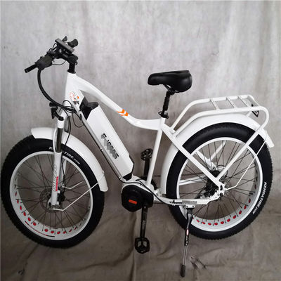1000W Bafang Moteur à entraînement médian Alloy Porteur arrière Central Electric Bike avec normes