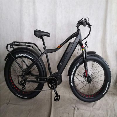 1000W Bafang Moteur à entraînement médian Alloy Porteur arrière Central Electric Bike avec normes
