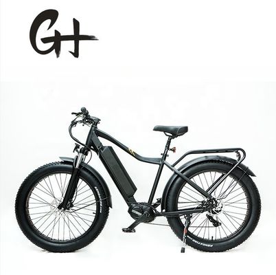 1000W Bafang Moteur à entraînement médian Alloy Porteur arrière Central Electric Bike avec normes