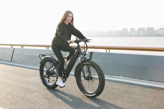 1000W Bafang Moteur à entraînement médian Alloy Porteur arrière Central Electric Bike avec normes