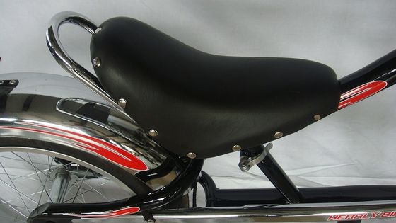 Chopper Bike Black Low Rider Mode Bike avec le frein à disque F R V-Brake