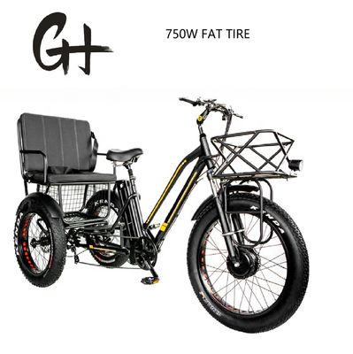 Bafang 750W Tricycle électrique à moteur avec pneu gras E Trois roues et siège passager