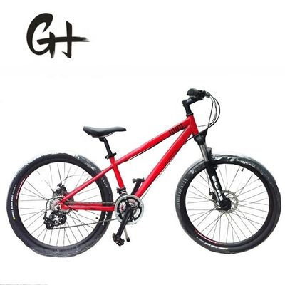 26x2.15 pneu CE EN CPSC OEM/ODM Adult Shimano 21 vitesses frein à disque VTT VTT
