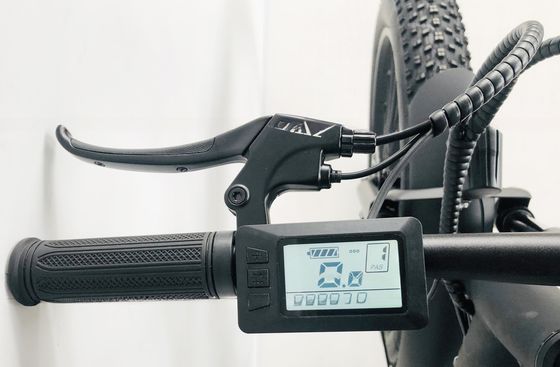 26 pouces PAS 750W 1000W 48V batterie au lithium pneu gras vélo électrique de montagne pour hommes adultes