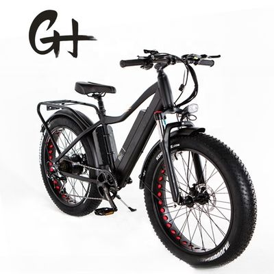 52V 17AH batterie au lithium 1000W BaFang Fat pneu de neige montagne VTT électrique 55KM/H