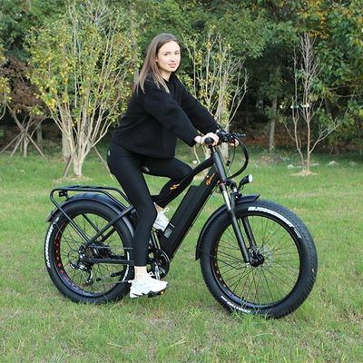 52V 17AH batterie au lithium 1000W BaFang Fat pneu de neige montagne VTT électrique 55KM/H