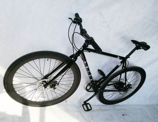 700C disc brake American Racing Bike avec acier CR-MO et Shimano 7S OEM/ODM CPSC