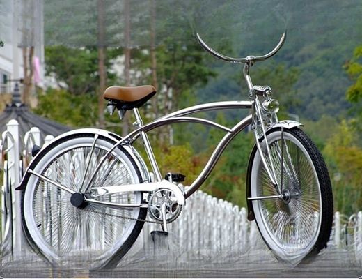 1 Speed Alloy Stem CP Silver Polish Color Fork 26*2.125 26 pouces Vélo de plage pour homme