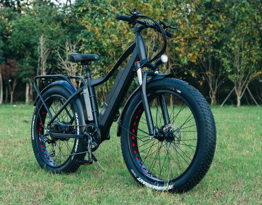 États-Unis CE Approuvé 48V 21ah vélo de montagne électrique avec 26 &quot; pneus gras et moteur de moyeu arrière