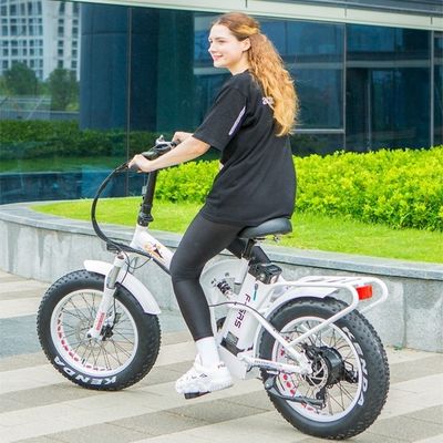 48V 21h Batterie au lithium CE certifié 1000W 50KM/H Grand pneu de neige grasse Vélo pliant électrique Pleine suspension