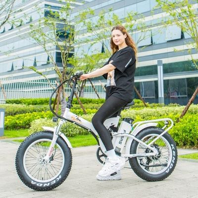 48V 21h Batterie au lithium CE certifié 1000W 50KM/H Grand pneu de neige grasse Vélo pliant électrique Pleine suspension