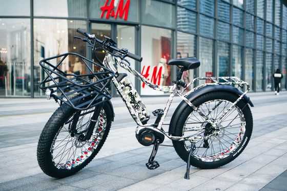 48V 17AH 1000W BaFang Central Motor Vélo électrique de montagne avec pneus de neige de 26 pouces