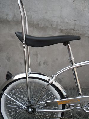 20 pouces en acier CP Cadre Coaster Fork de printemps Mini vélo enfant à pédales ordinaires