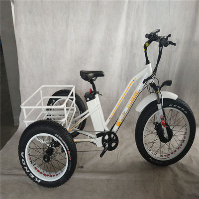 750W vélo électrique 3 roues pneu gros pour adultes E Trike Cargo couple 70-80 Nm freins à disque
