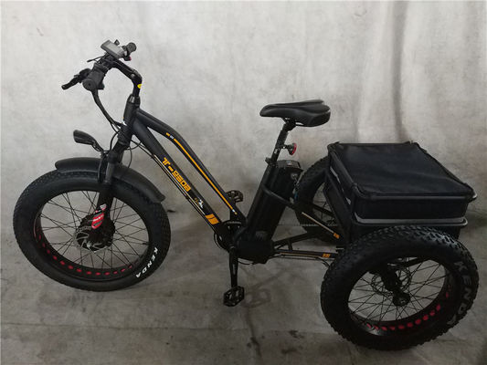 750W vélo électrique 3 roues pneu gros pour adultes E Trike Cargo couple 70-80 Nm freins à disque
