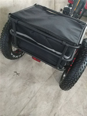 750W vélo électrique 3 roues pneu gros pour adultes E Trike Cargo couple 70-80 Nm freins à disque