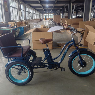 750W vélo électrique 3 roues pneu gros pour adultes E Trike Cargo couple 70-80 Nm freins à disque