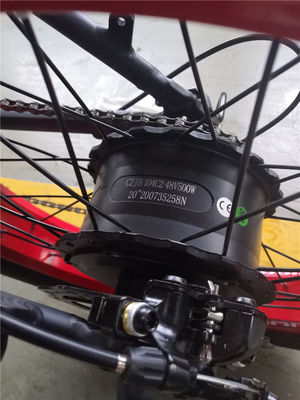 Vélo électrique de 20 pouces avec un châssis pliant et un couple de 80 à 90 Nm