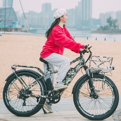 52V 1000W Bafang moteur 17AH Lithium 55KM/H Hub arrière Neige Fat pneu de montagne vélo électrique