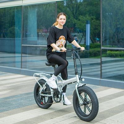 Vélo électrique à grande vitesse de 20 &quot; 750W avec pneu de neige 4.0 et moteur MagWheel BaFang
