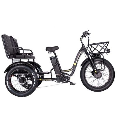Tricycle électrique léger en aluminium 48V 750W 21AH 50KM/H pour passager adulte