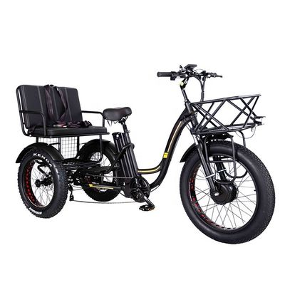 Tricycle électrique léger en aluminium 48V 750W 21AH 50KM/H pour passager adulte