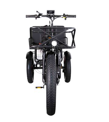 Tricycle électrique léger en aluminium 48V 750W 21AH 50KM/H pour passager adulte
