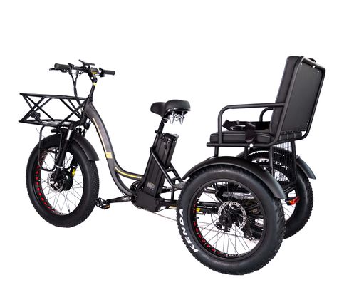 Tricycle électrique léger en aluminium 48V 750W 21AH 50KM/H pour passager adulte