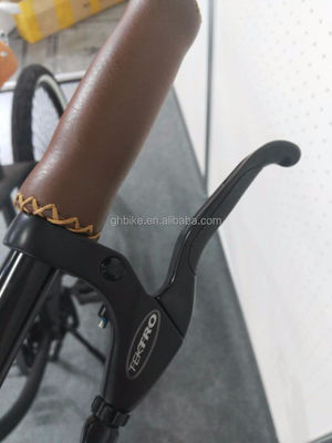 26 pouces Homme de vitesse unique Vintage Spring Fork Beach Cruiser pour la compétition Flatland