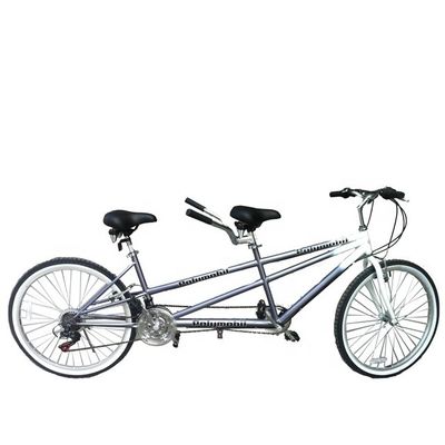 26 pouces 18 Speed Mountain Vente au détail 20% de réduction CE OEM EN14764 Double personne vélo tandem