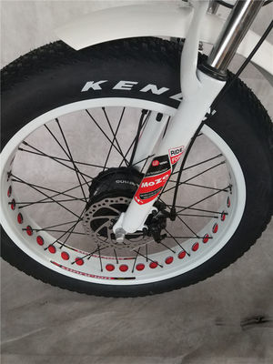 750W moteur avant 24 4.0 pneu gras neige 48V E Trike Trois roues cargo tricycle électrique
