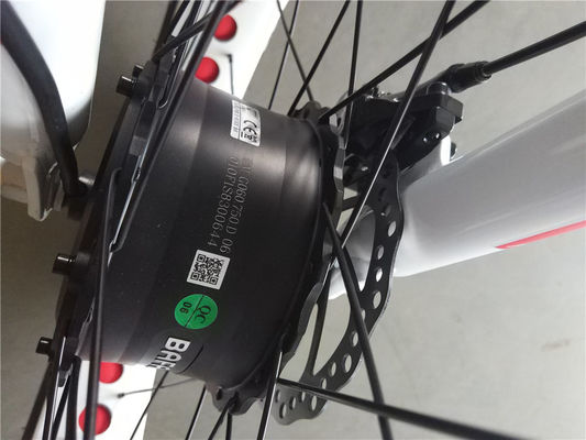750W moteur avant 24 4.0 pneu gras neige 48V E Trike Trois roues cargo tricycle électrique