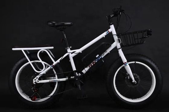20&quot; 500W 48V13AH OEM/ODM EN15194 vélo électrique à frein à disque pour les petits enfants