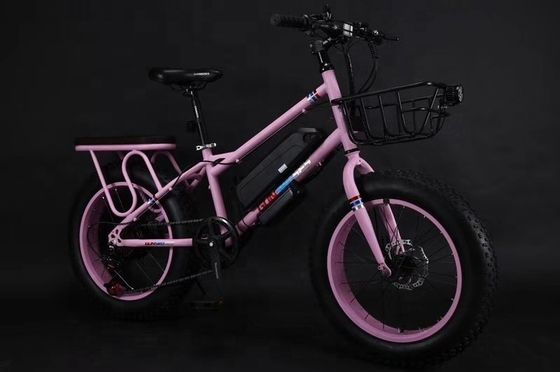 20&quot; 500W 48V13AH OEM/ODM EN15194 vélo électrique à frein à disque pour les petits enfants