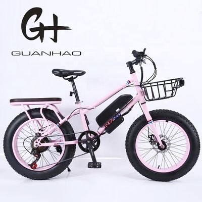 20&quot; 500W 48V13AH OEM/ODM EN15194 vélo électrique à frein à disque pour les petits enfants