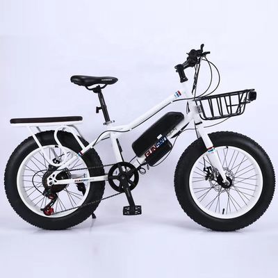 20&quot; 500W 48V13AH OEM/ODM EN15194 vélo électrique à frein à disque pour les petits enfants